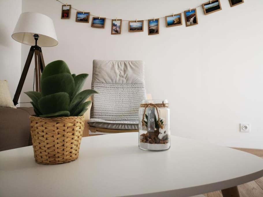 T3 - Appartement Jardin Wissant 6 Personnes Zewnętrze zdjęcie